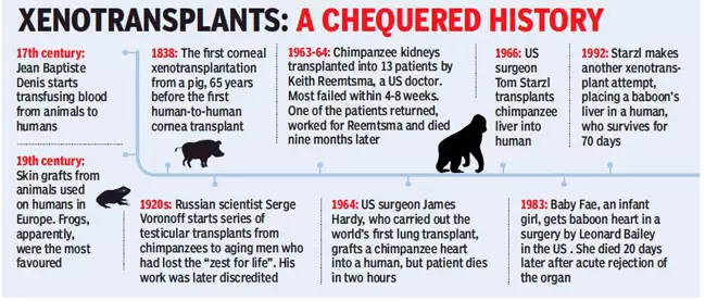 first pig heart to human transplant