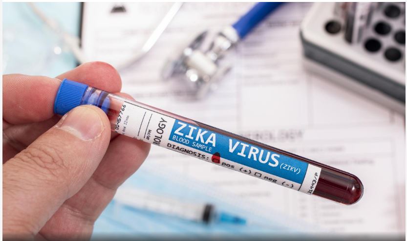 Zika virus