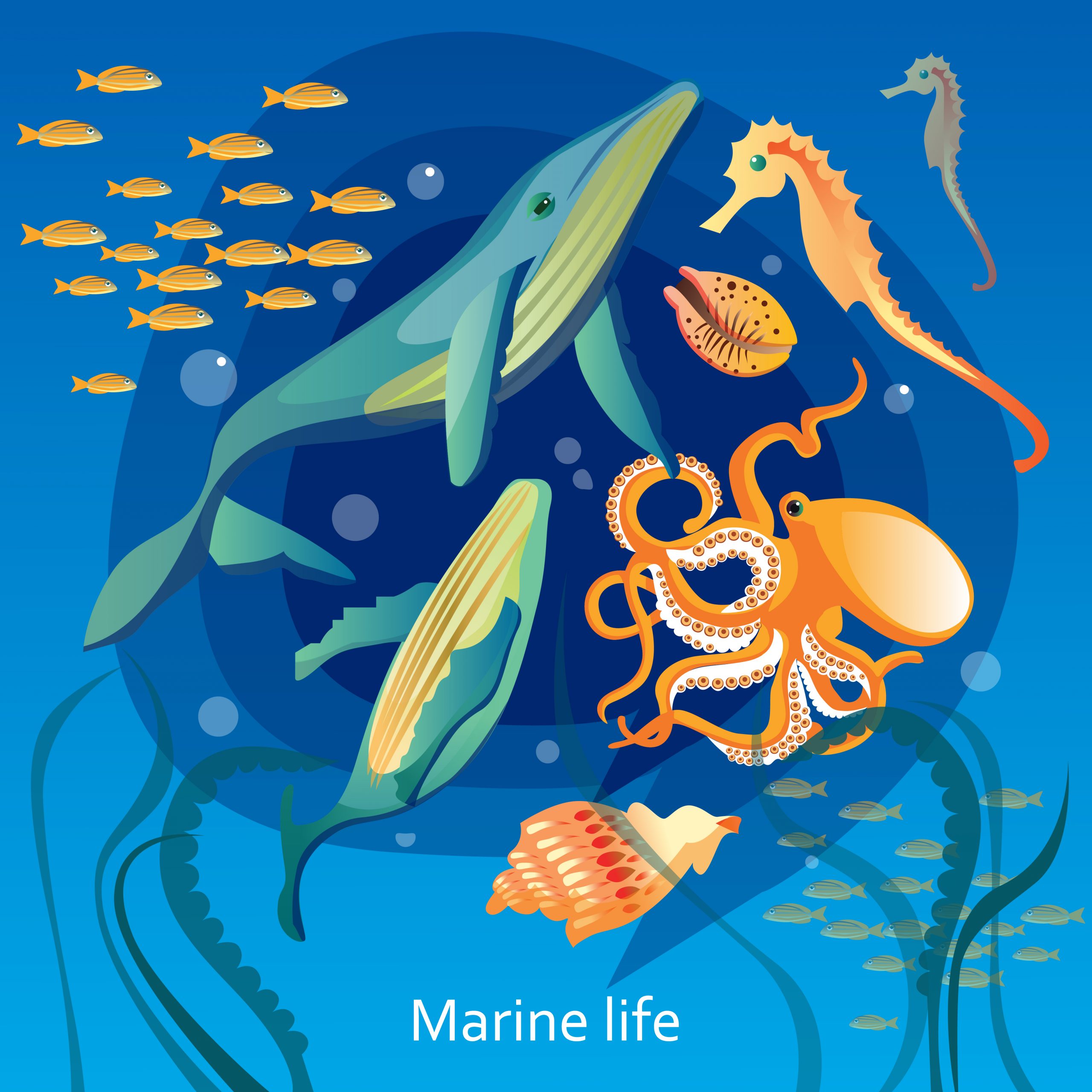 Marine Protected Areas (MPA)